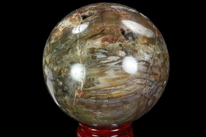 Petrified Wood Sphere - Madagascar #98464